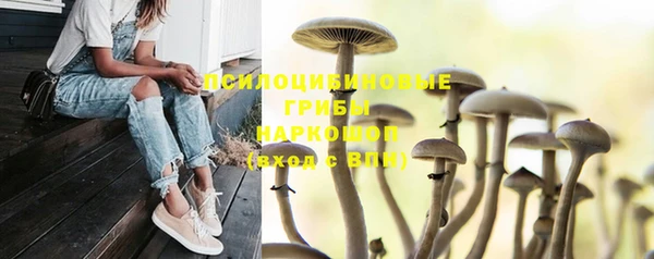 бошки Волоколамск