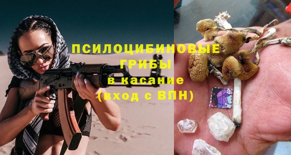 бошки Волоколамск